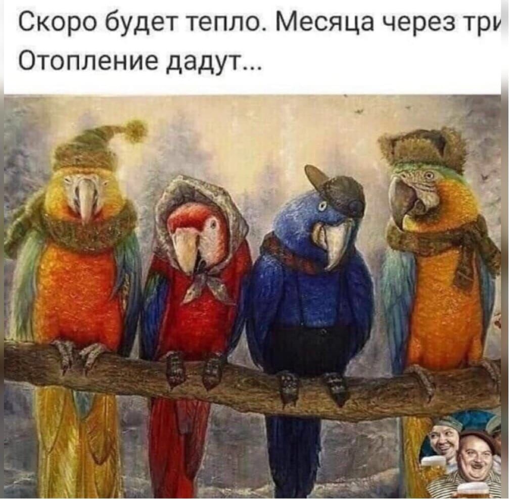 🖼
