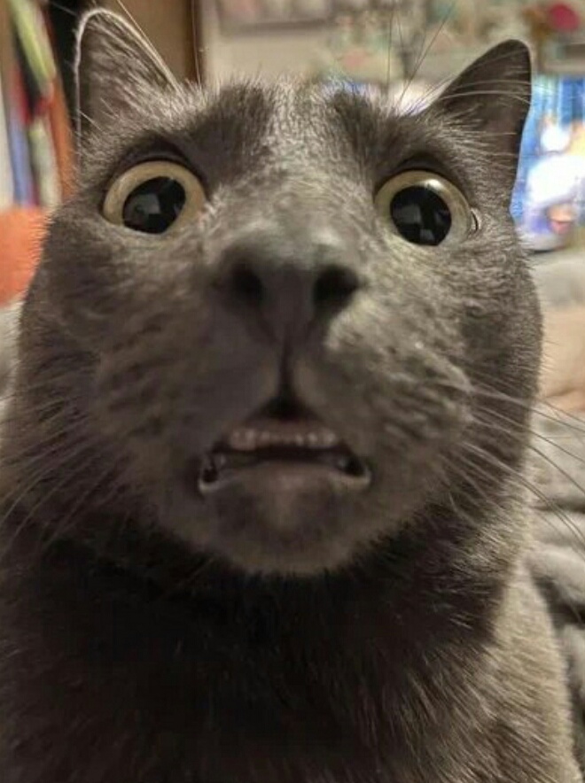 🖼