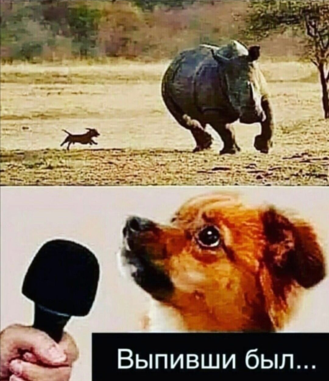 🖼