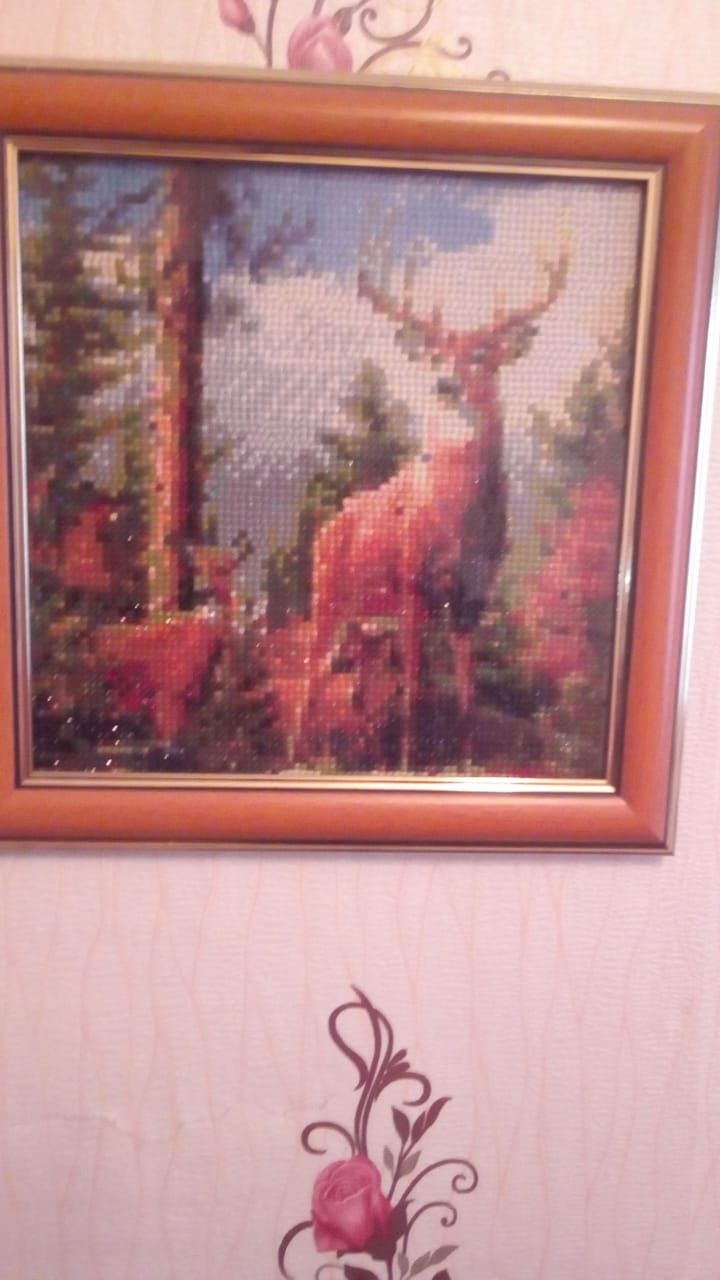 🖼