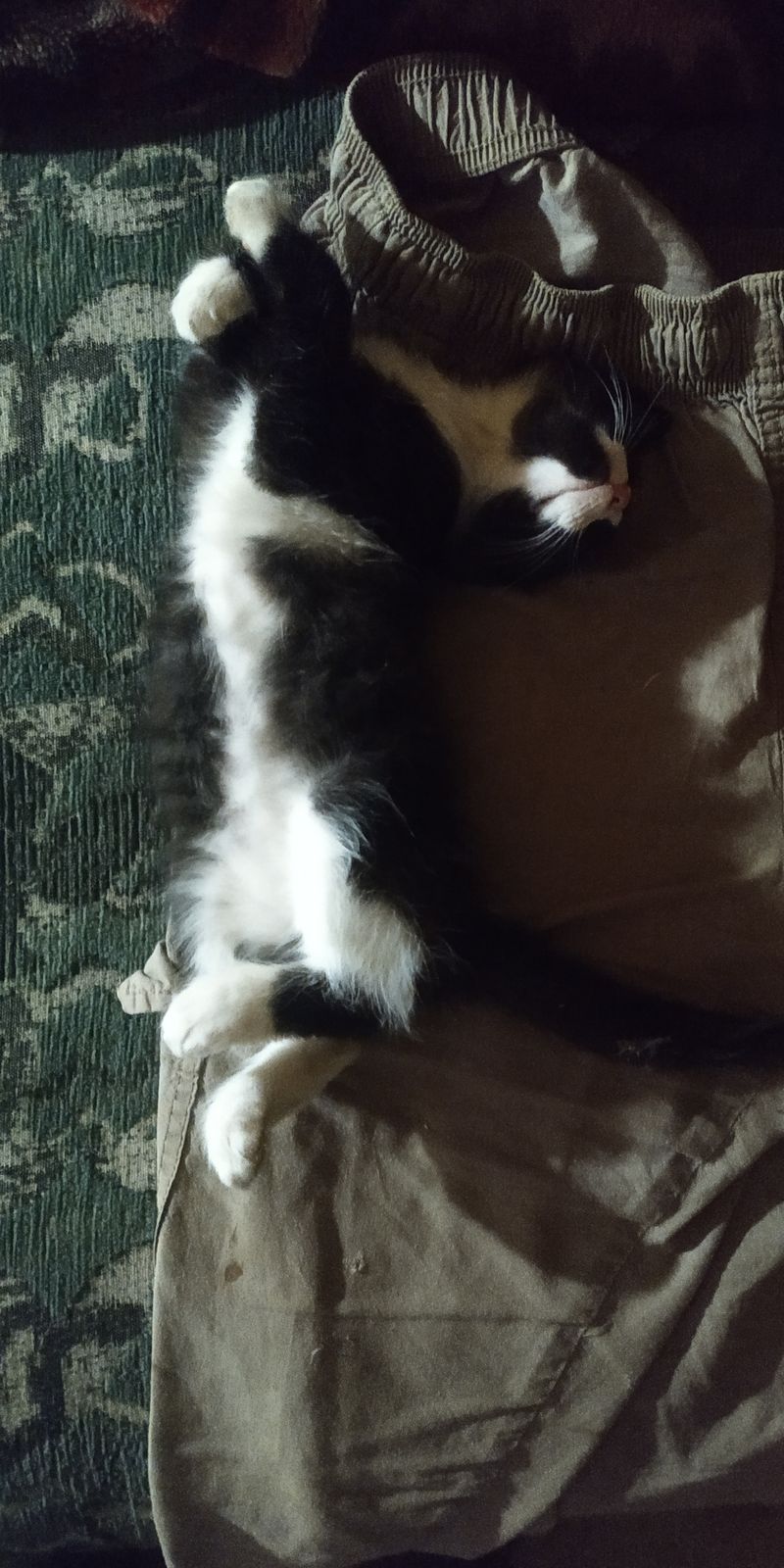 🖼