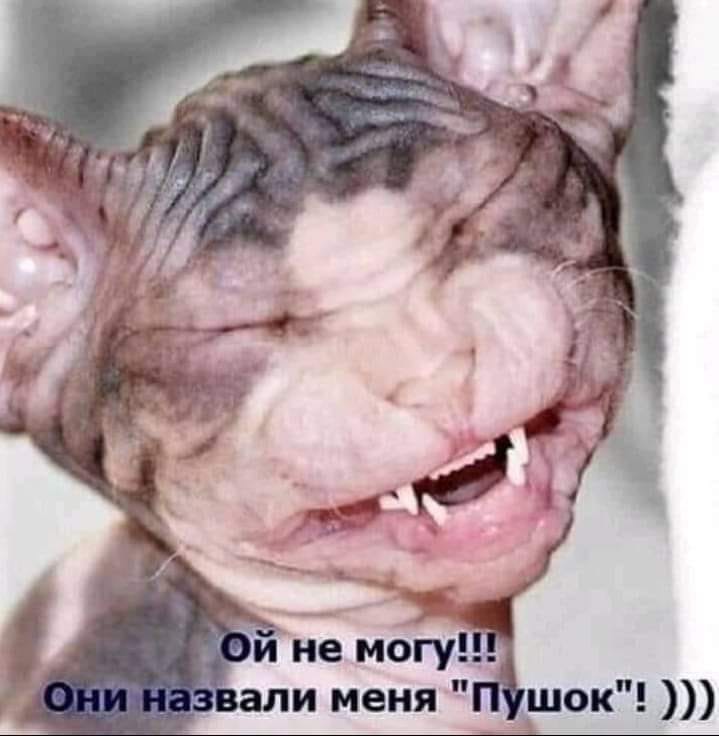 🖼