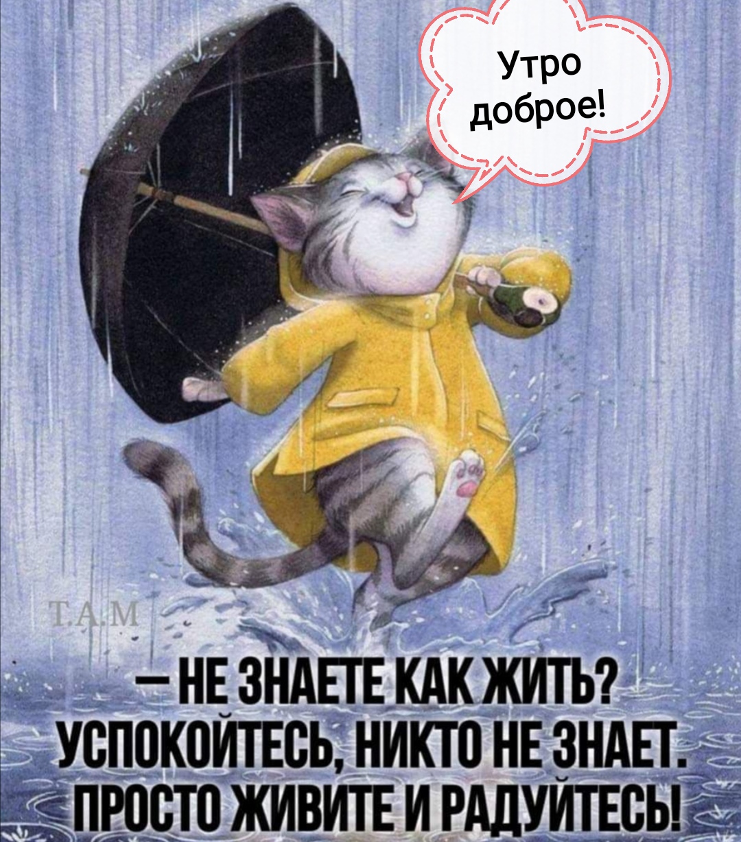 🖼