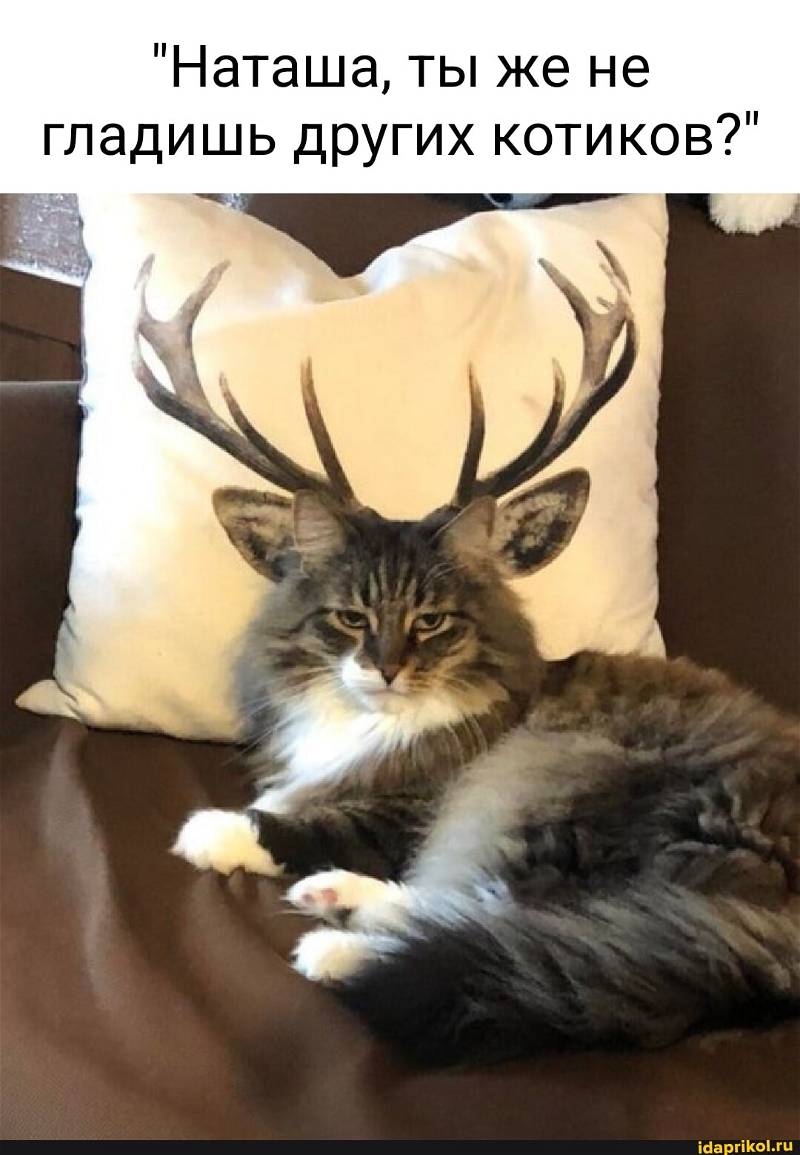 🖼