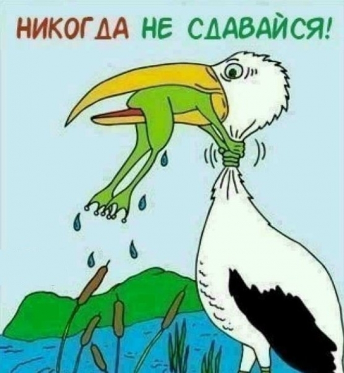 🖼