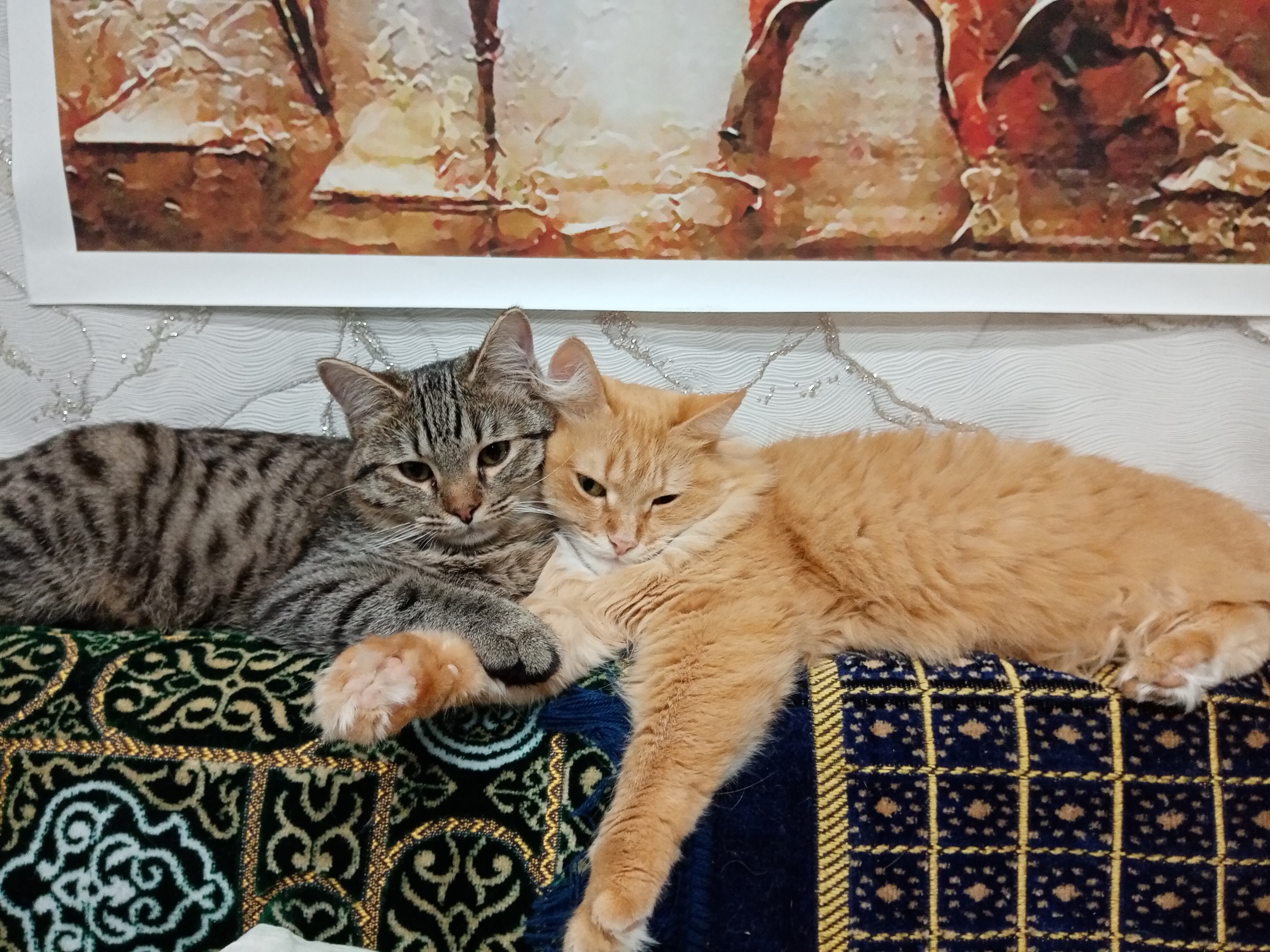 🖼