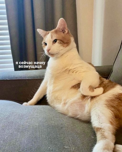 🖼