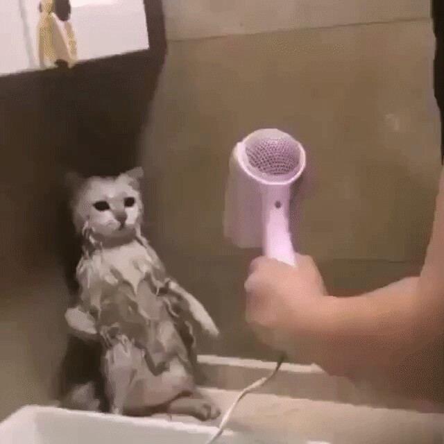 🖼