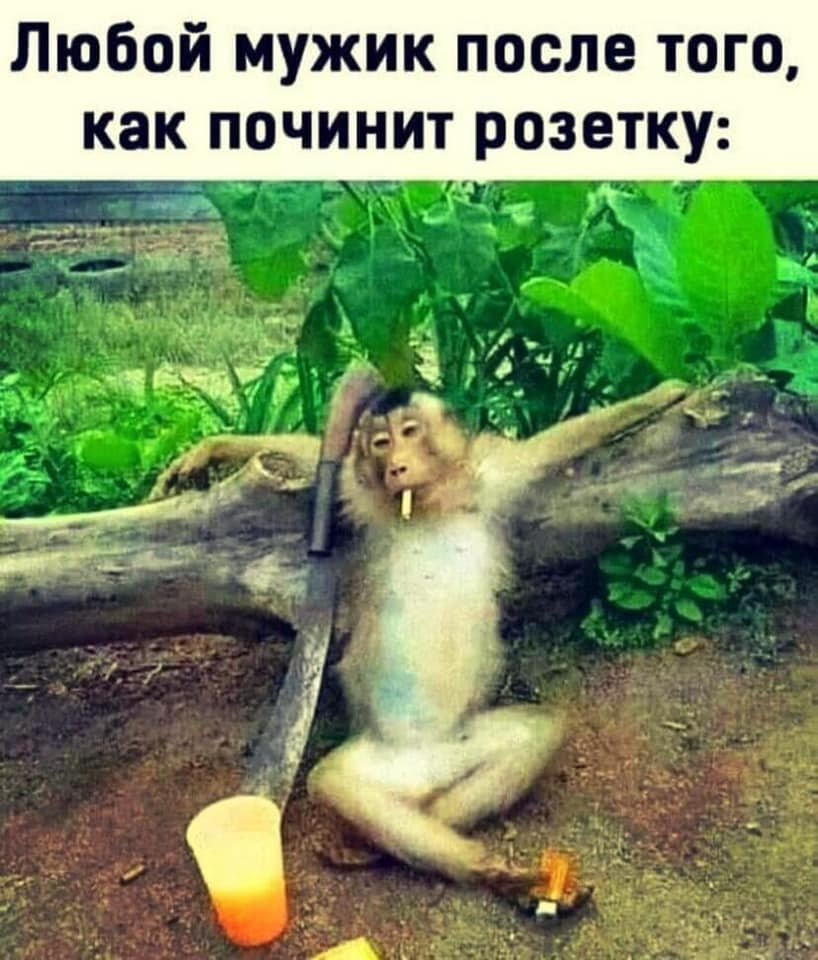 🖼
