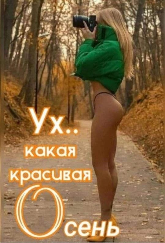 🖼