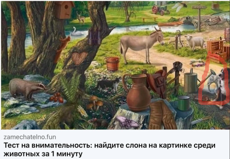 🖼