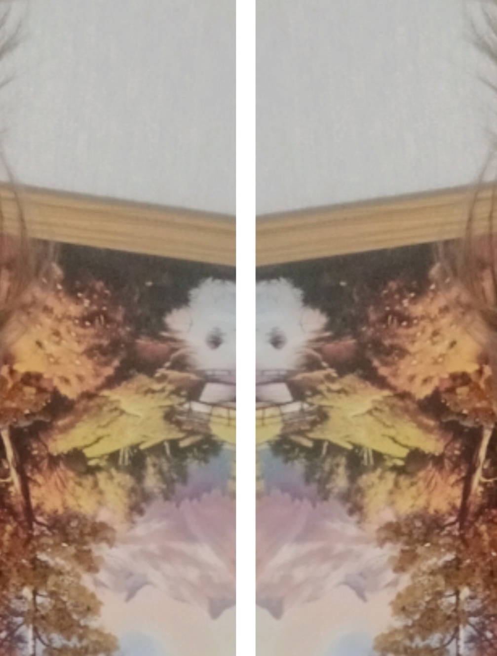 🖼