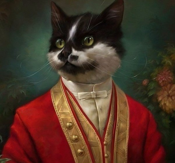 🖼