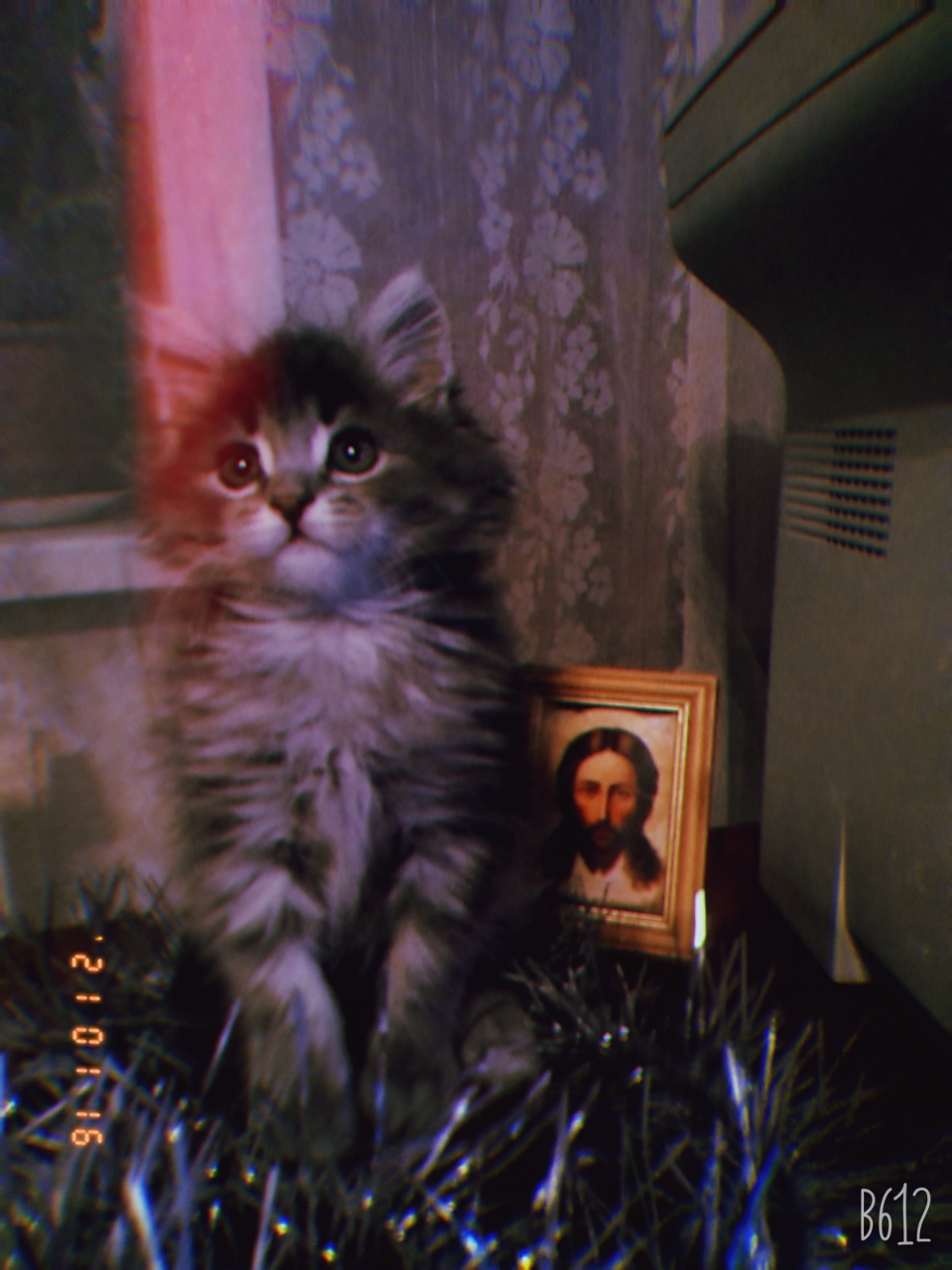 🖼