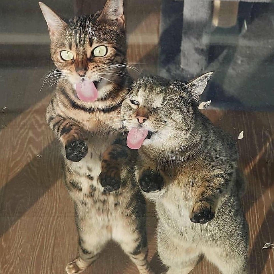 🖼
