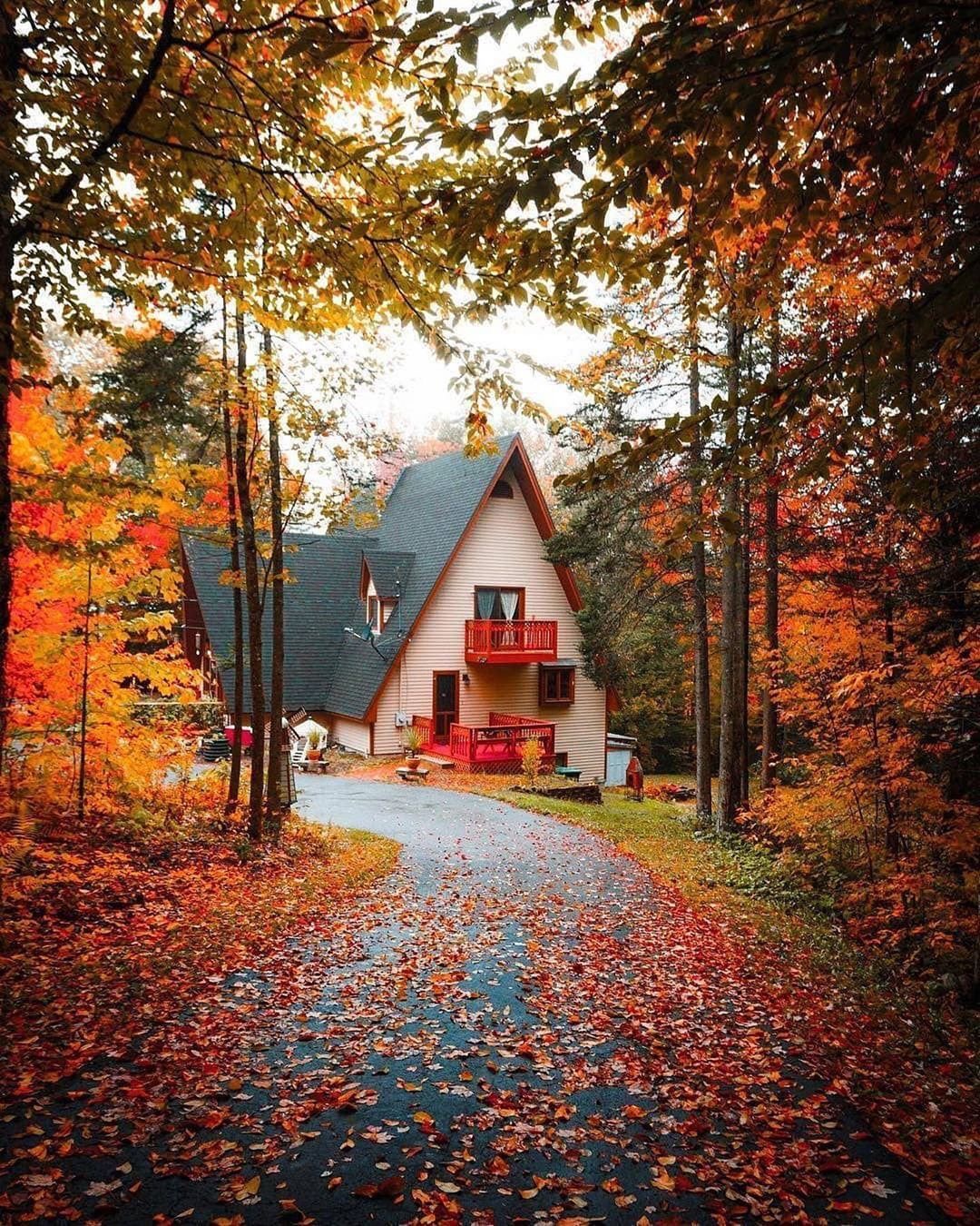 🖼