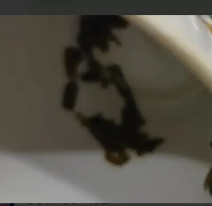 🖼