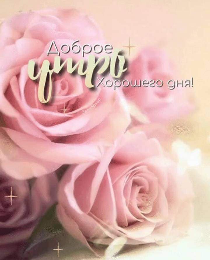 🖼