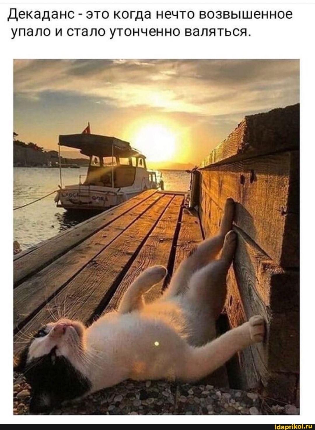 🖼