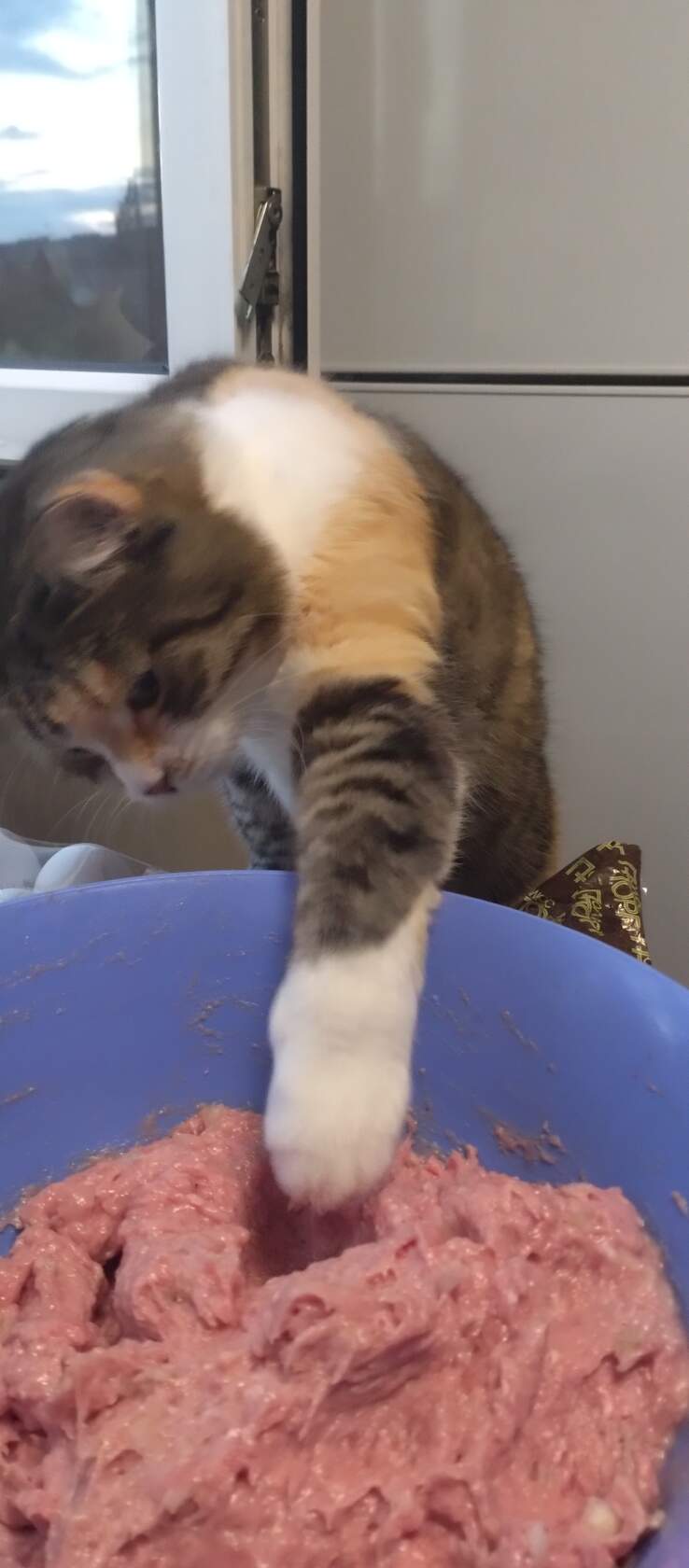 🖼