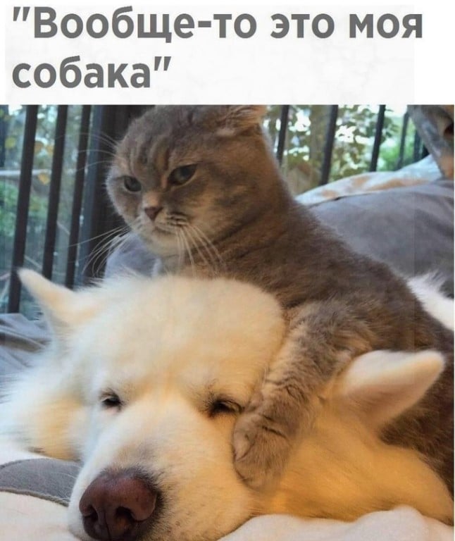 🖼