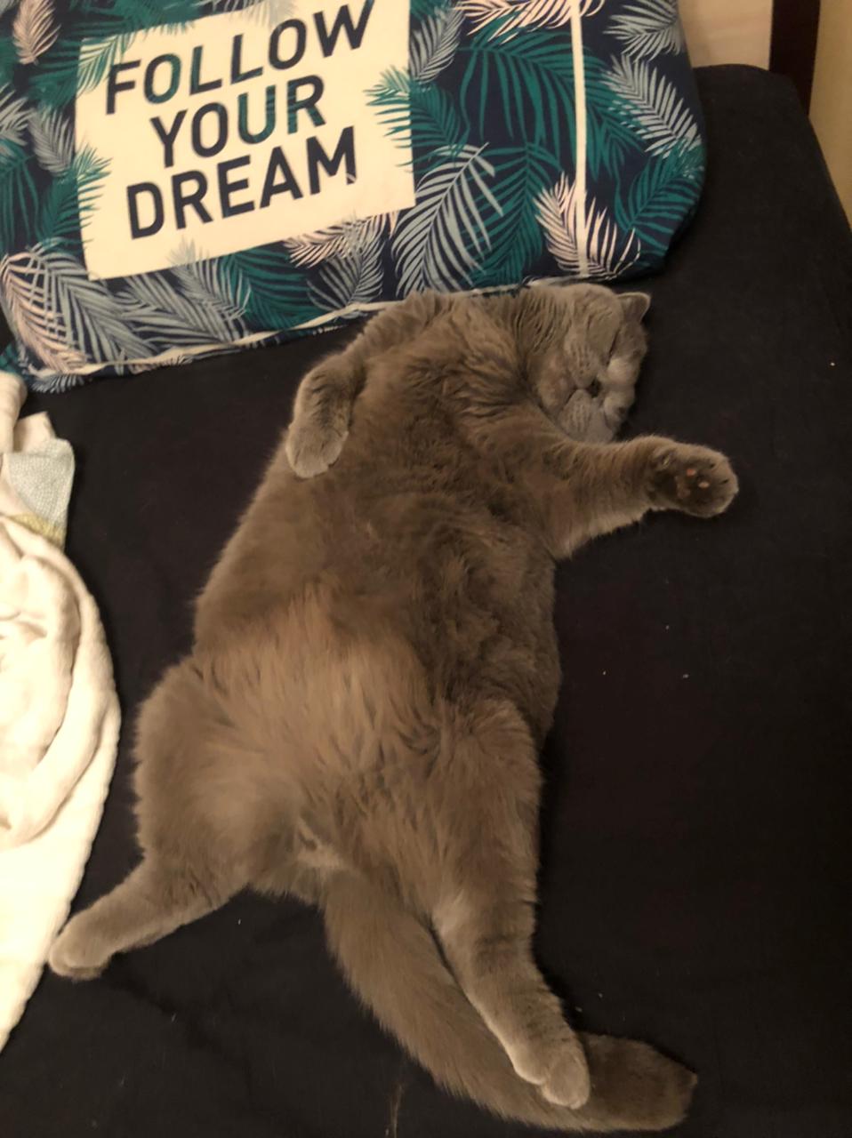 🖼