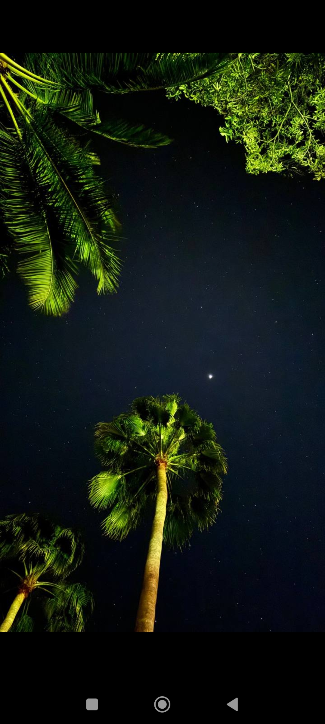🖼