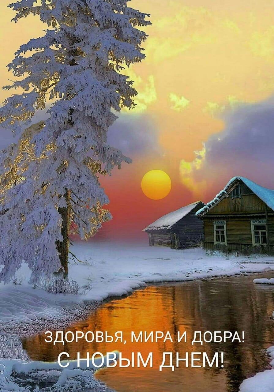 🖼