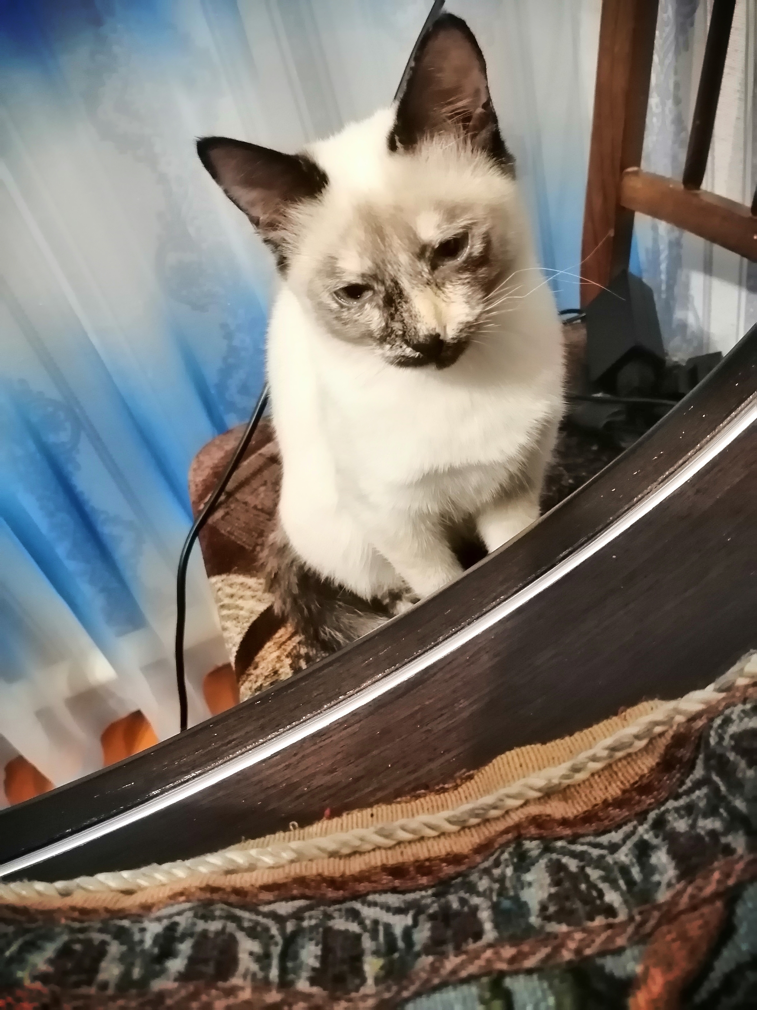 🖼