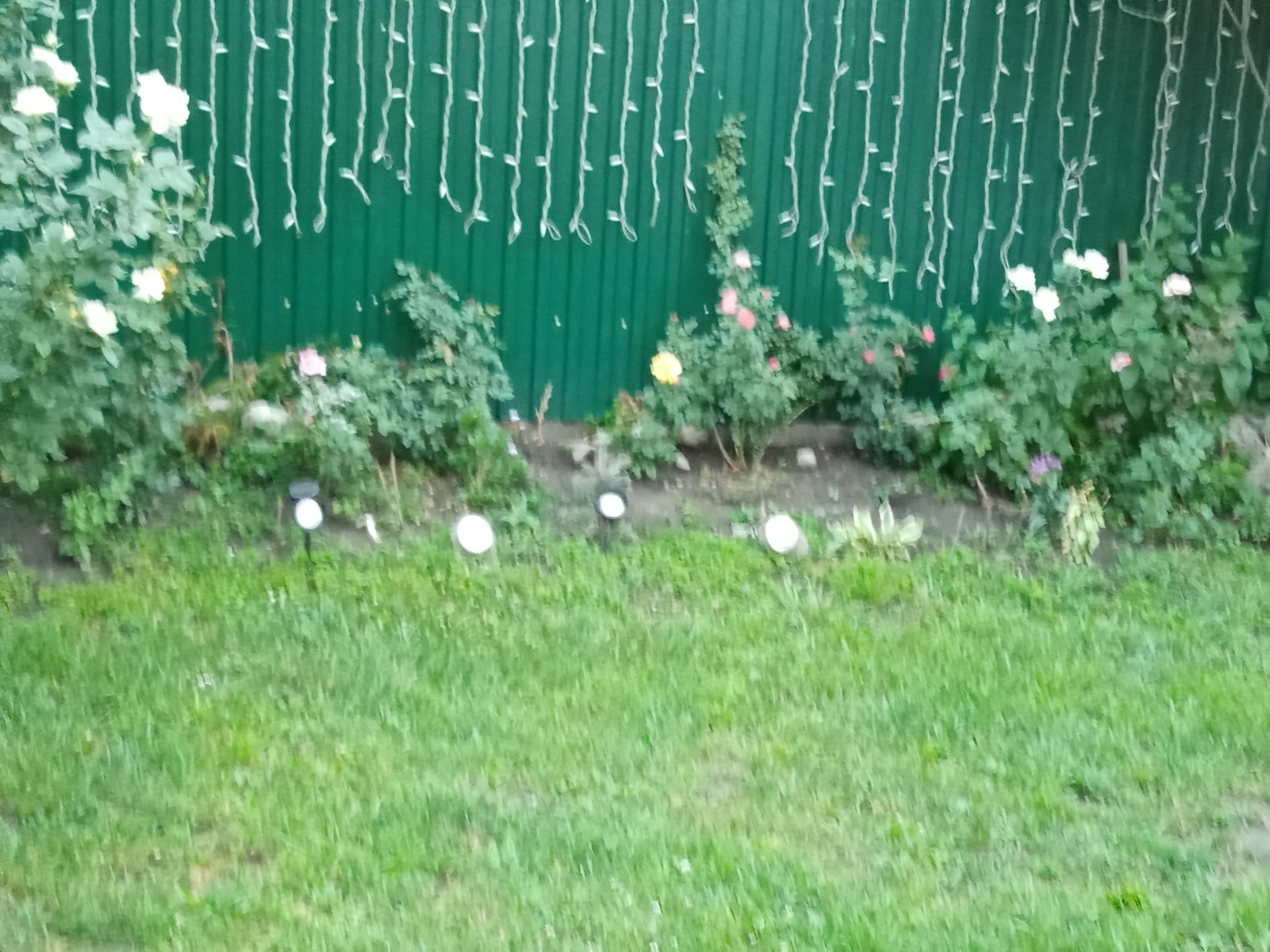 🖼