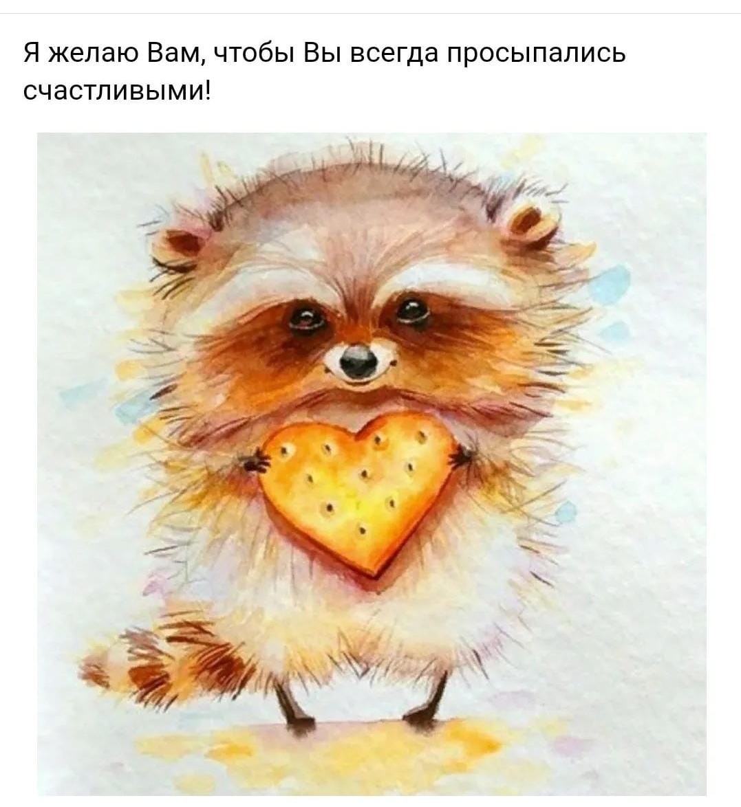🖼