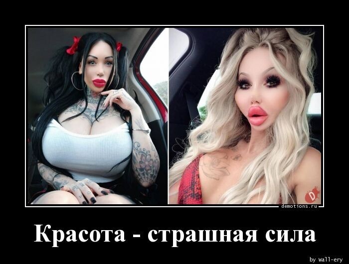 🖼