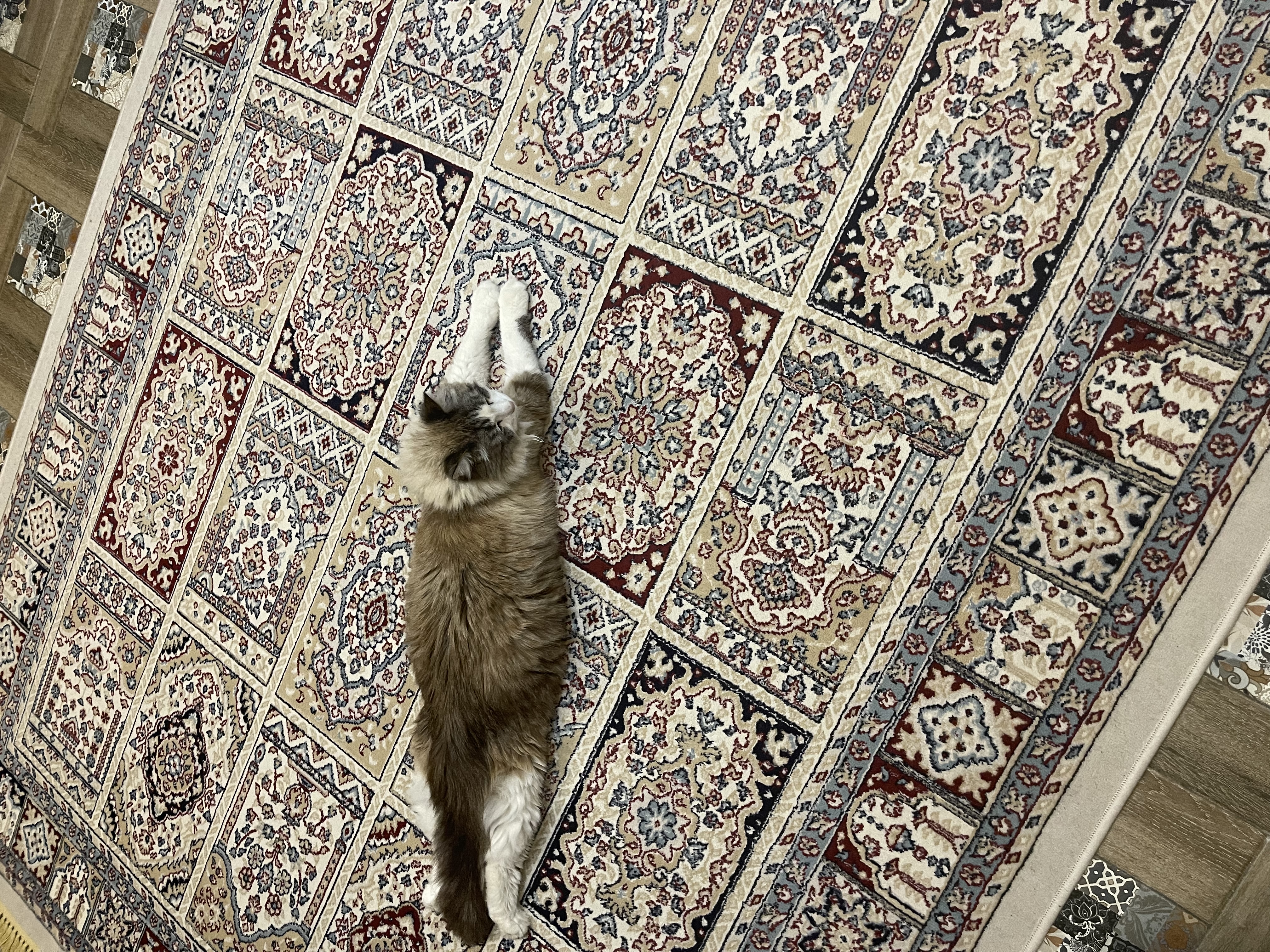 🖼