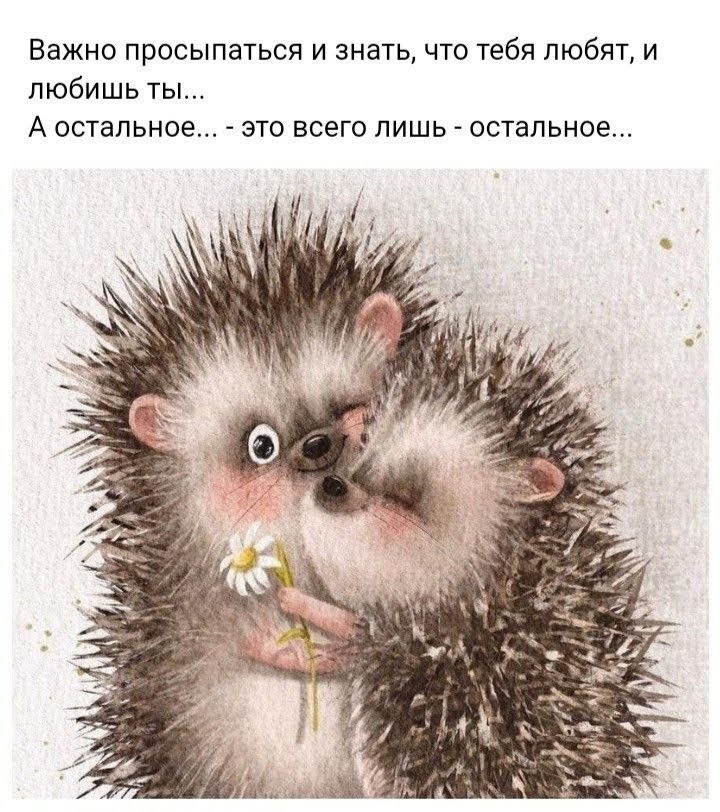 🖼