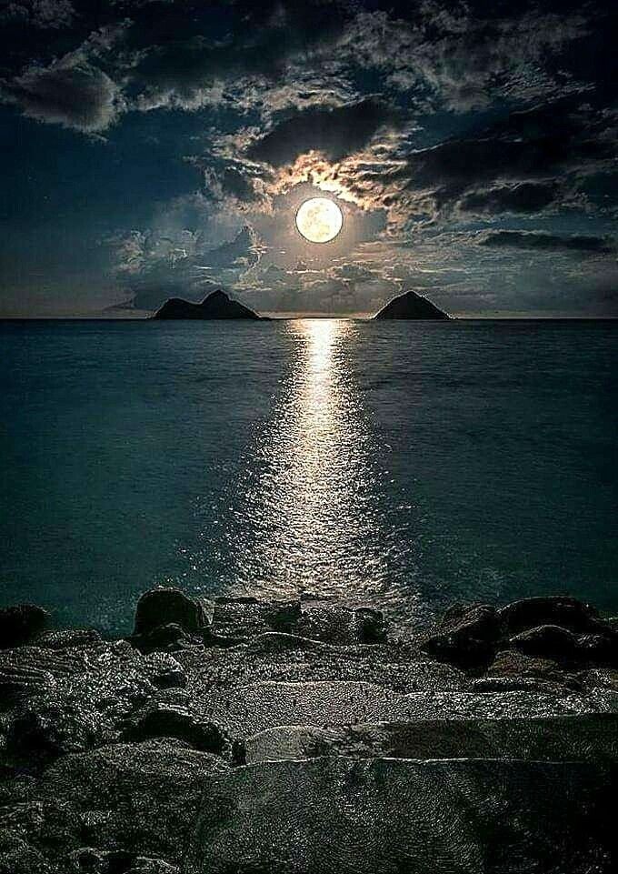 🖼