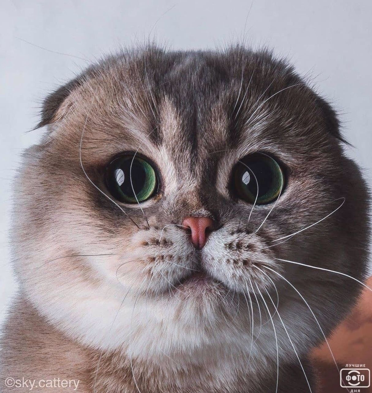 🖼