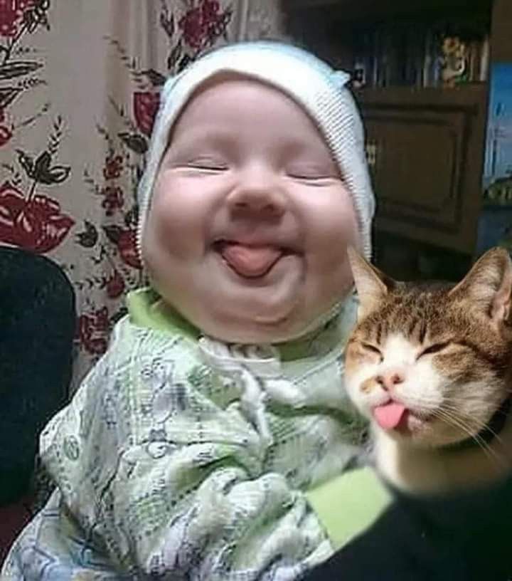 🖼