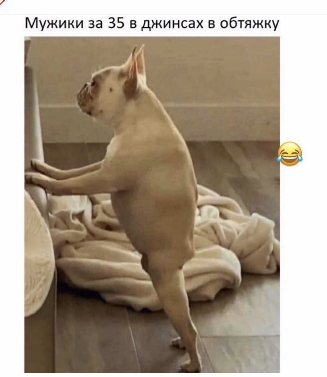 🖼