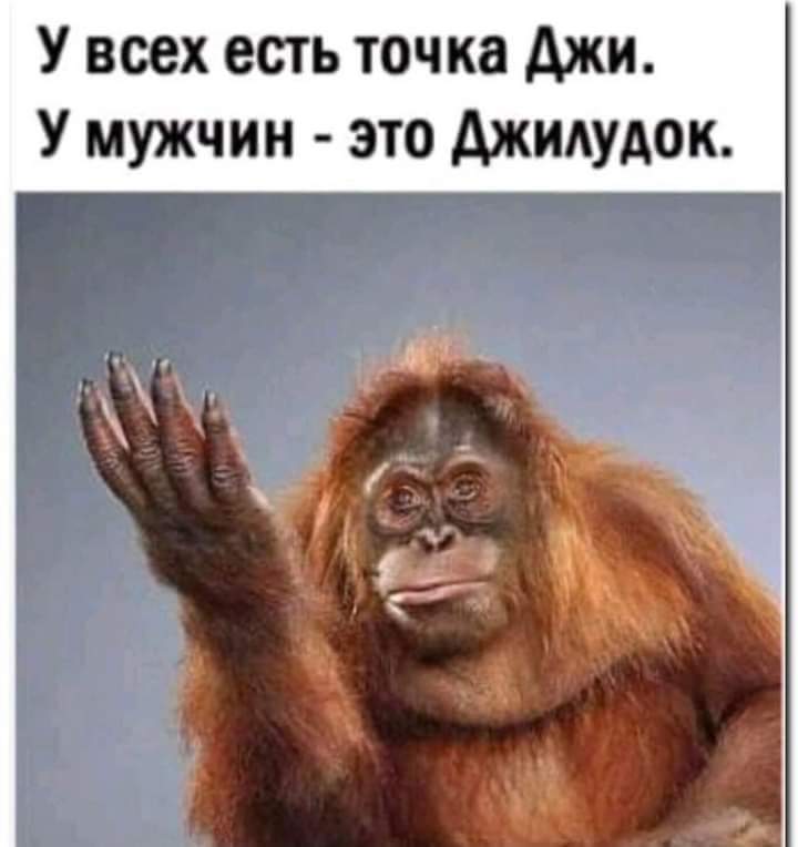 🖼