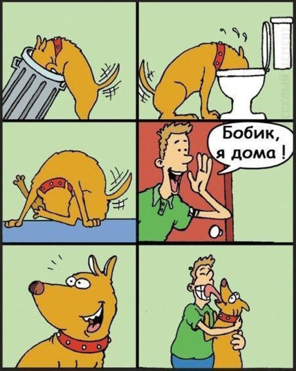 🖼