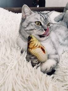 🖼