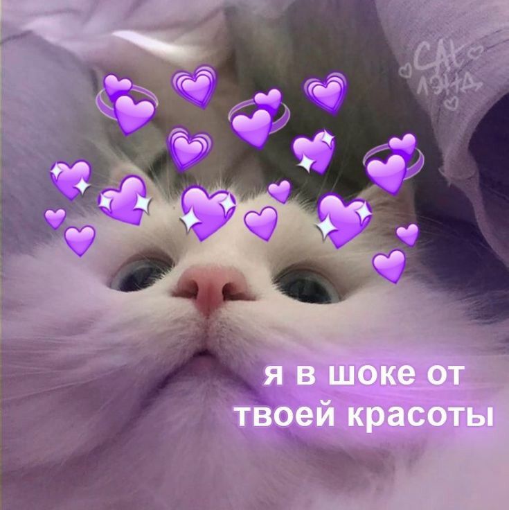 🖼