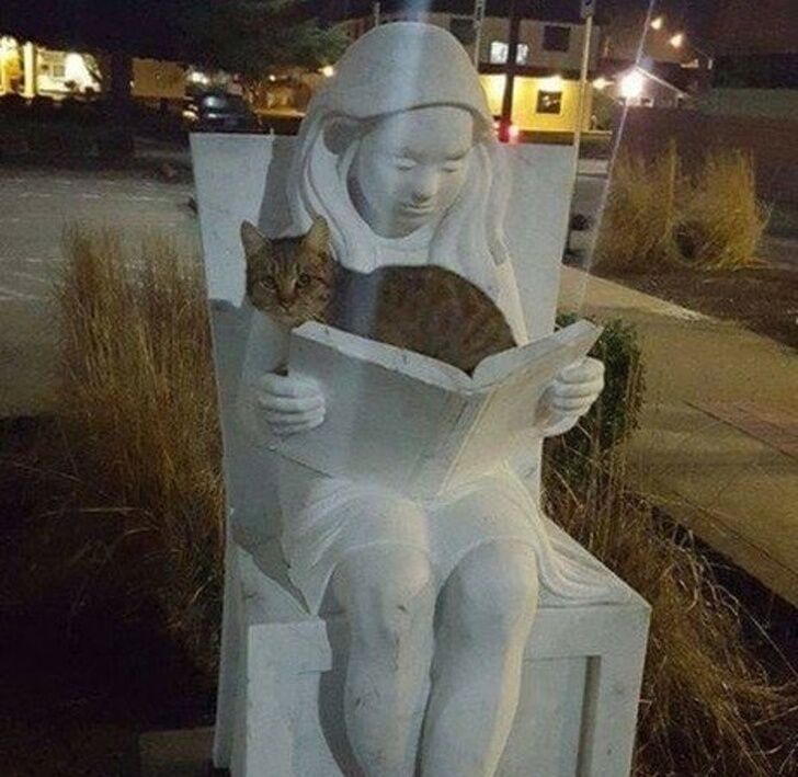 🖼