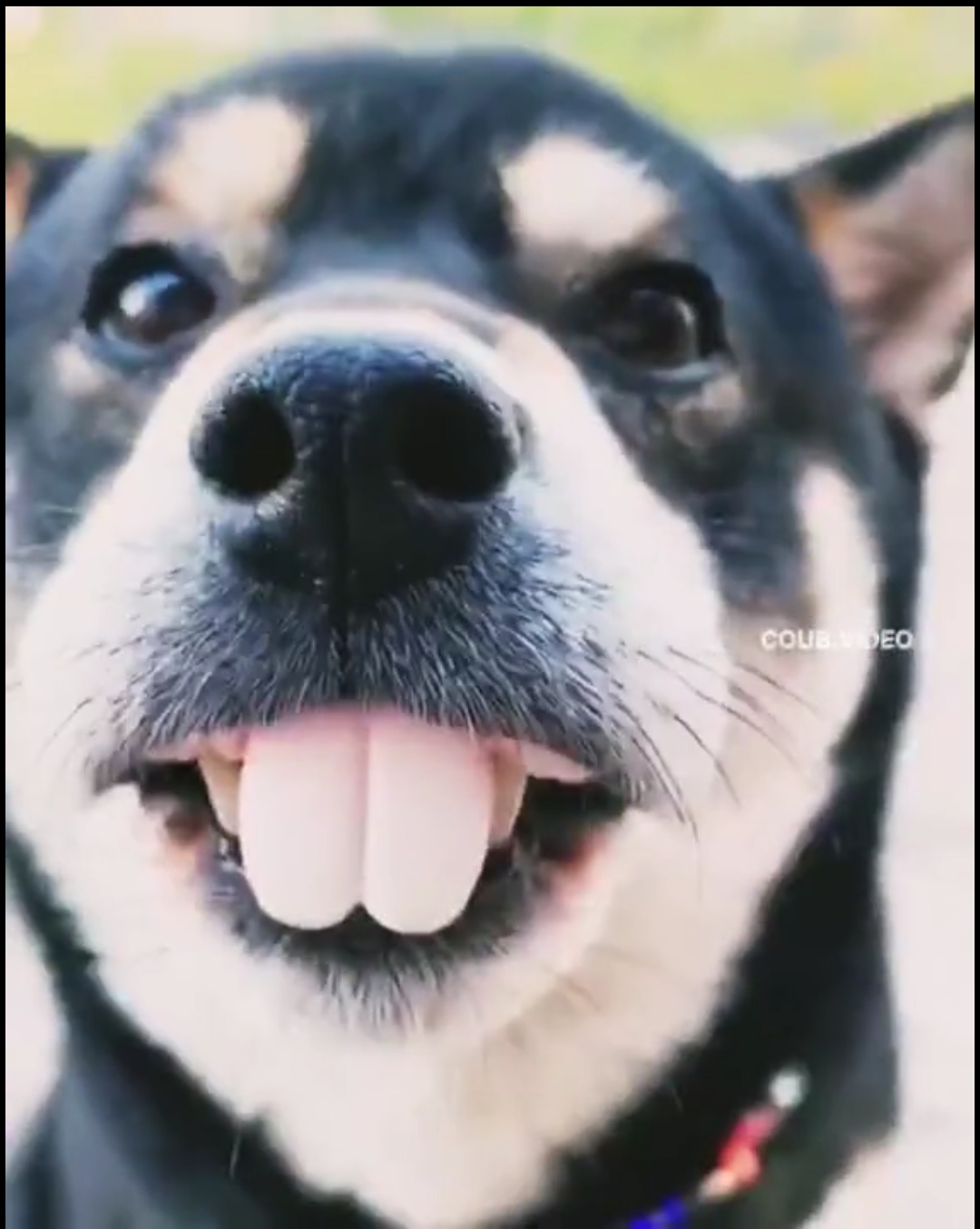 🖼