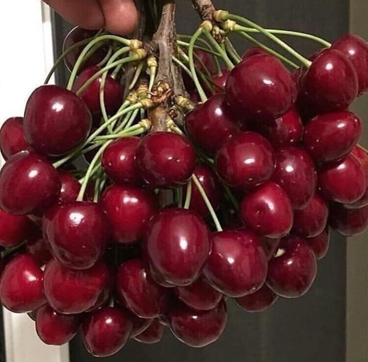 🖼