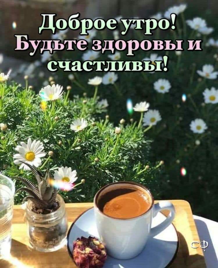 🖼