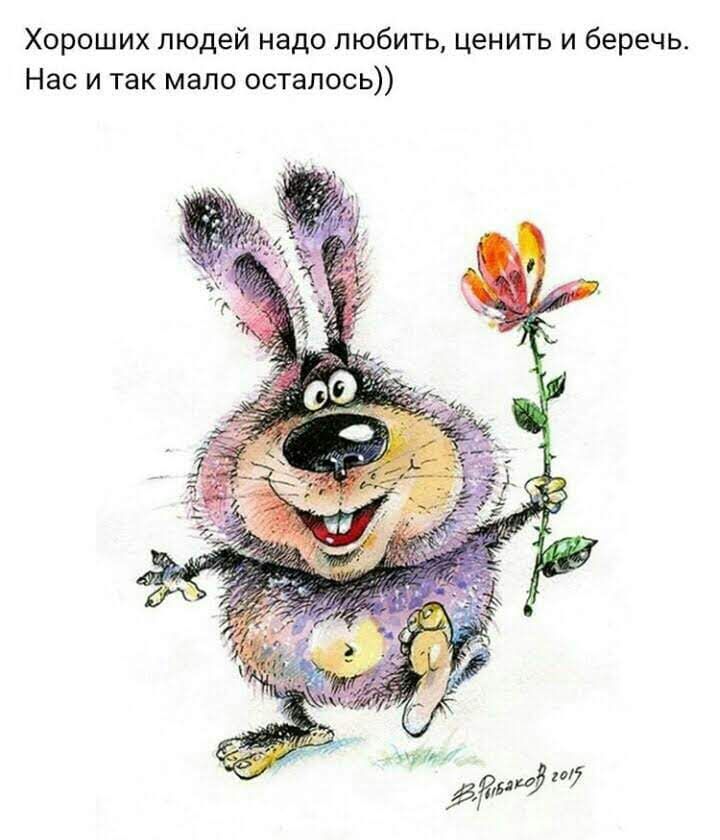 🖼