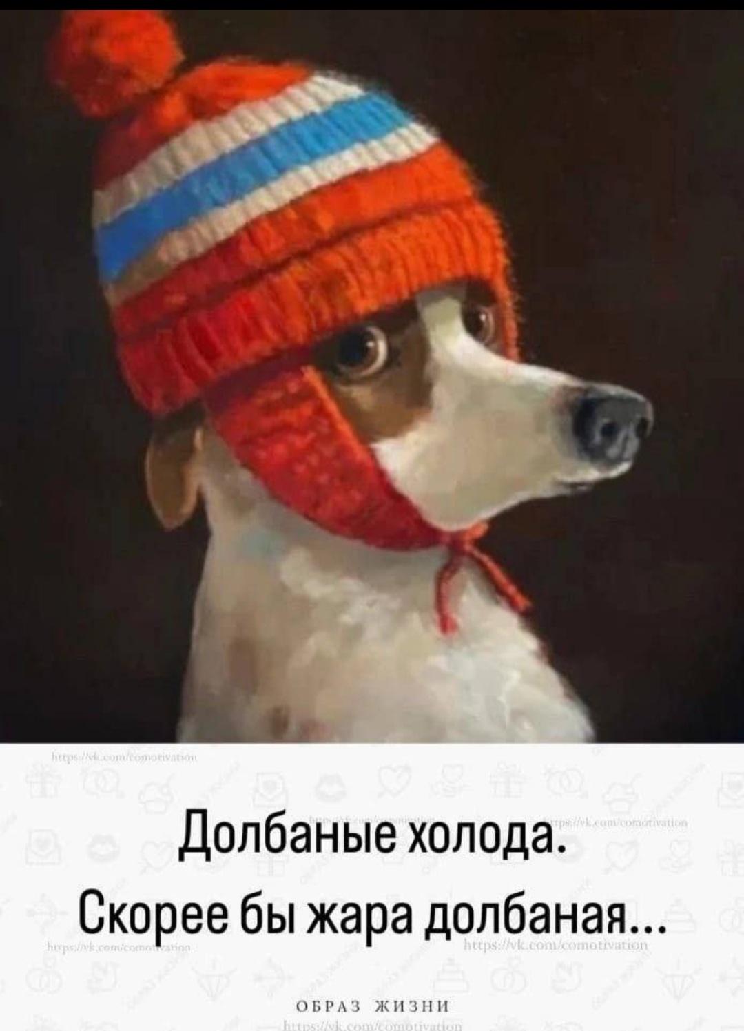 🖼