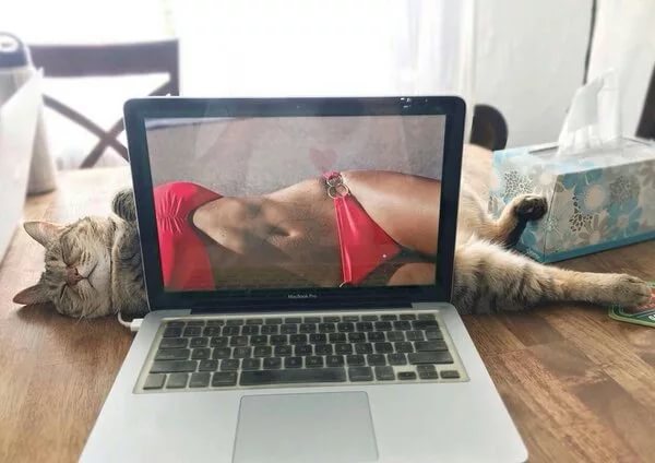 🖼