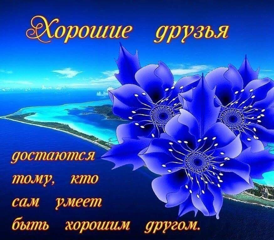 🖼